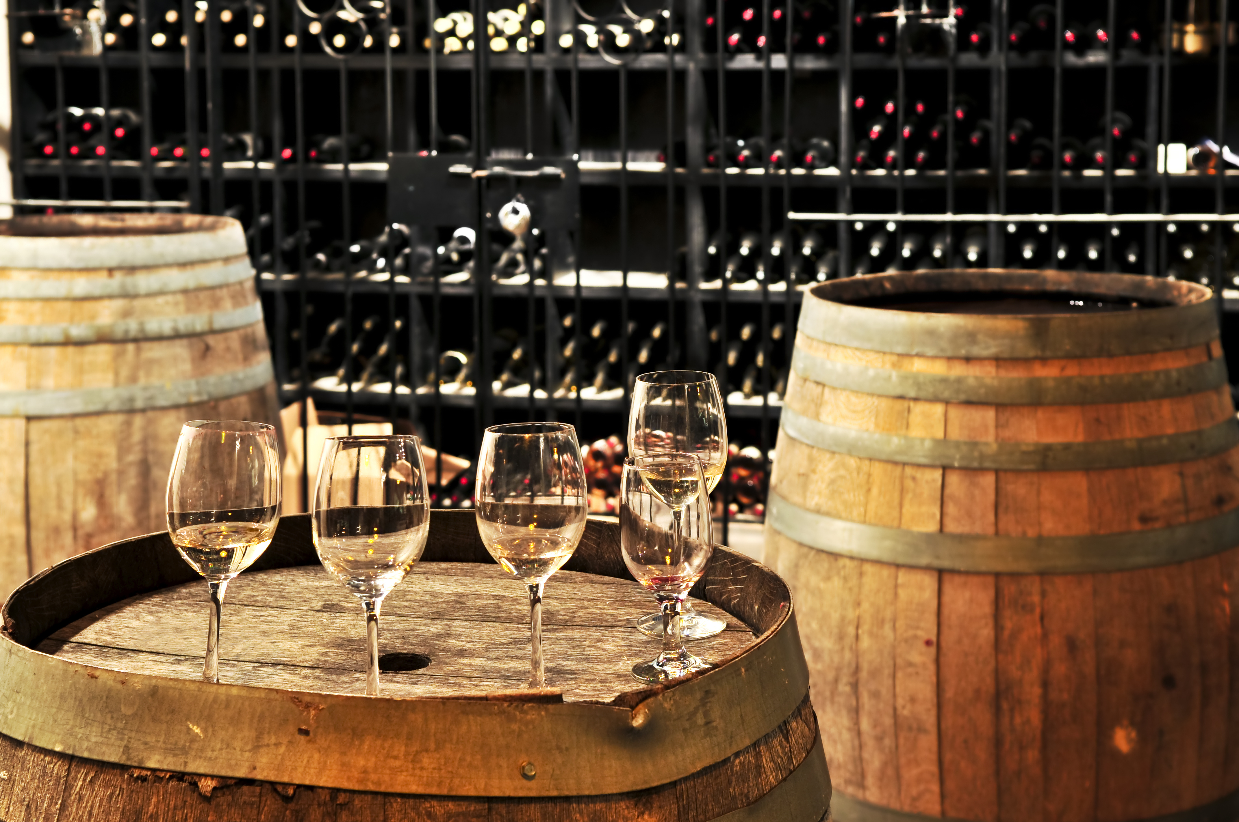 Wine tour